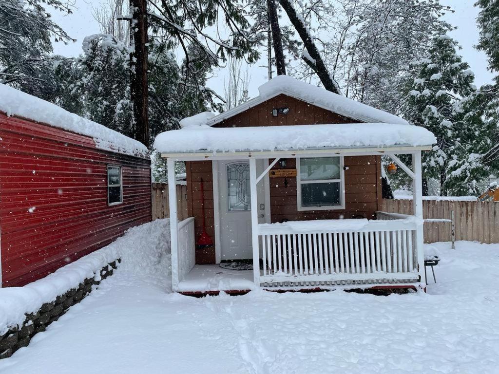 Acorn Cottage - Hidden Gem In Green Heaven, Getaway To Bass Lake & Yosemite Oakhurst Eksteriør bilde